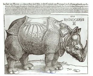 Neushoorn, prent gegeven aan Maximiliaan I (1459-1519) door de koning van Lissabon (1495-1521), 1515